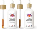 Rainbo Mushroom Sche, Lion's Mane Mushroom Extract + Chaga Mushroom Tincture, Dual Extract Daily Mushroom Tinctures for Comprehensive Immune Support, Vegan Liquid Mushroom Supplements