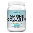 AMANDEAN Marine Collagen. Toz. 500g Wild-Caught Hydrolyzed Fish Collagen Supplement. Tip 1 & 3 Kolajn proteini. 18 Deri, Saç, Nails için asitler.
