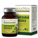 Banyan Botaniks Kanchanar Guggulu Tabletleri – Organik Lymph Supplement with Gugguluwear – Natural Toxins * – 90 Tablet – Non-GMO Sustainable Sourced Vegan
