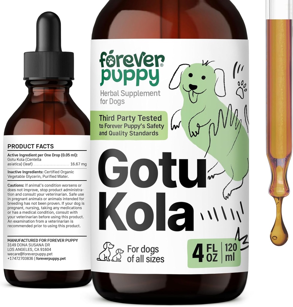 Forever κουτάβι Gotu Kola σταγόνες για σκύλους - Gotu Kola εκχύλισμα & Centella Asitica για την υποστήριξη της υγείας του εγκεφάλου - συμπλήρωμα διατροφικού εγκεφάλου για σκύλους όλων των Φυλή & Μεγέθη - 4 oz