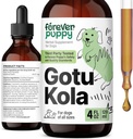 Köpekler için Sonsuz Puppy Gotu Kola Drops - Beyin Sağlık Desteği için Gotu Kolaksiyon & Centella Asiatica - Tüm Breeds ve Boyutlar Köpekler için Beslenme Beyin Tamamı - 4 oz
