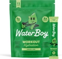 Waterboy Workout Hydration | 2,960mg Sugar Free Electrolyte Toz Paketleri | L-Glutamine + Vitaminler | No Sugar, All Natural, Gluten Free | 15 Iklim Mixes (Lemon Lime)