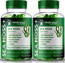WELLNESS LABSRX Sea Moss Gummies, 3200 mg İrlandalı Deniz Moss Karma Berry En Az Potency Bladderwrack ve Burdock Root - Supports Skin, Energy and Immunity - 180 Count