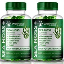 WELLNESS LABSRX Sea Moss Gummies, 3200mg Irish Sea Moss Mixed Berry Flavor with Maximum Potency Bladderwrack and Burdock Root - Supports Skin, Energy and Immunity - 180 Count
