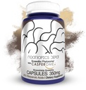 Nootropics Depot Boswellia Phytosome Capses 
