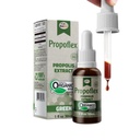 Arılife Propoflex Organik Yeşil Propolisi - Yüksek Artepillin-C Seviyeleri, Genel Wellness için Antioksi-Rich Supplement - Natural & Kosher-Friendly Diyetary Supplement - Made In Brazil, 1 Fl. Oz.