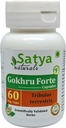 Gokhru Forte Capsules 500 mg. 60 Veg. Capsule | Gokharu (Tribulus Terrestris) Erkekler ve kadınlar için Kapsüller | Ayurvedic Herbal Supplement/R capturedes | 10:1 Forte (1 Şişe 60 Capsules)