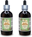 Blue Vervain (Verbena pta) Glycerite, Organik Kuru Yukarıda-Ground Parçalar Alkol Özgür Sıvı Ekstraksiyon (Brand Name: HerbalTerra, Proudly Made in USA) 2x4 fl.oz (2x120 ml)