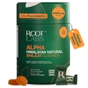 10-σε-1 Alpha Shilajit Gummies 