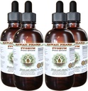 Afrika Cherry Pygeum Alkol Özgür Madde, Afrika Cherry Pygeum (Prunus Africana) Bark Glycerite Natural Herbal Supplement, Hawaii Pharm, ABD 4x4 oz