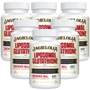 Liposomal Glutathione 2000 mg with L-Serine, L-Glycine & Sulforaphane – Active L-Glutathione Unique Formulation to improve Abpole - Master Antioksi, Detoxing & Immune | 360 Softgels
