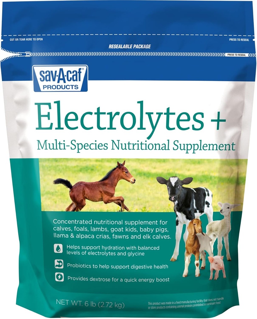 Sav-a-Caf Electrolytes Plus™ Supplement | 6 Pound (6 LB) Bag