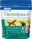 Sav-a-Caf Electrolytes PlusTM Supplement | 6 Pound (6 LB) Bag