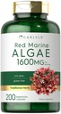 Carlyle Red Marine Algae 1600mg | 200 Capsules | Vegetarian Supplement | Non-GMO, Gluten Free