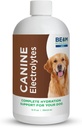 Beam Minerals Tamam Canine Electrolytes | Full-Spectrum Electrolytes for Köpekler | 12 Fl Oz