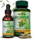 KIKI Πράσινες κάψουλες Mullein & Υγρές σταγόνες Bundle - Mullein Leaf Extract Συμπληρώματα, 90 κάψουλες + 2 fl oz - για την υποστήριξη του αναπνευστικού συστήματος και της ανοσίας, καλύτερη λειτουργία πνεύμονα, καθαρισμού πνεύμονα & ανακούφιση