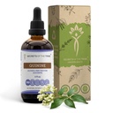 Tribe Quinine Alkol Özgür Tincture (Glycerite) 680 mg Wildcrafted Quinine (Cinchona officinalis) kuru Bark (4 Fl Oz)