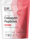 Zint Collagen Peptides Toz: Paleo & Keto Onaylandı - Gelişen Absorpsiyon için I & III - Enzymatik olarak, 16 ozed Protein for Women & Men, 16 ozed