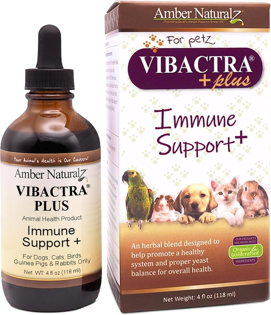 Amber NaturalZ Vibactra Plus Herbal Supplement for Dogs, Cats, Birds, Guinea Pigs ve Tavşanlar | Immune Health ve Yeast Balance | 4 Akışkanlar Ounce Glass Şişe Şişe Şişe Şişe
