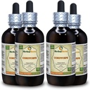 Cordyceps (Cordyceps Sinensis) Tincture, Organik kuru Mushroom Toz Sıvı Ekstraksiyon (Brand Name: HerbalTerra, Proudly Made in USA) 4x4 fl.oz (4x120 ml)