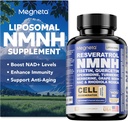 NMNH Supplement - 500 mg Per Servisi, NAD+ Seviyeler, NAD Supplement Immune Health & Anti-Aging, 60 Capsules