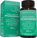 Viva Naturals Pycnogenol - 100mg French Maritime Pine Bark Extract – Supports Circulation, Antioxidant-Like Activity, Joints & Immune Health and Function – 60 Veggie Capsules