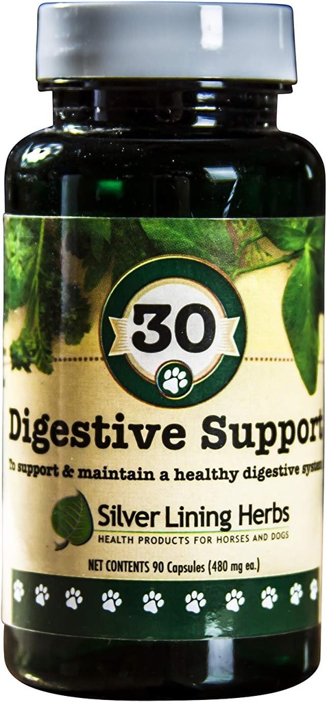 Silver Lining Herbs Dog Digestive Support – Dog Supplements for Health Digestion & Gut Function - Natural Herbal Mix Dog Vitamins with Slippery Elm Bark, Ginger & More – 90 Capsules