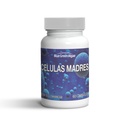 Stem Cell - Celulas Madres συμπλήρωμα για την καταπολέμηση της γήρανσης & μακροβιότητας, μη ΓΤΟ, Γλουτένη-ελεύθερο, κάψουλες χορτοφάγων, 60 κόμης