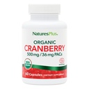 NaturesPlus Organik Cranberry 500 mg - 60 Capsules - Sağlıklı Urinary Tract - USDA sertifikalı Organik, Vegan, Gluten Free, Non-GMO - 30 Hizmet