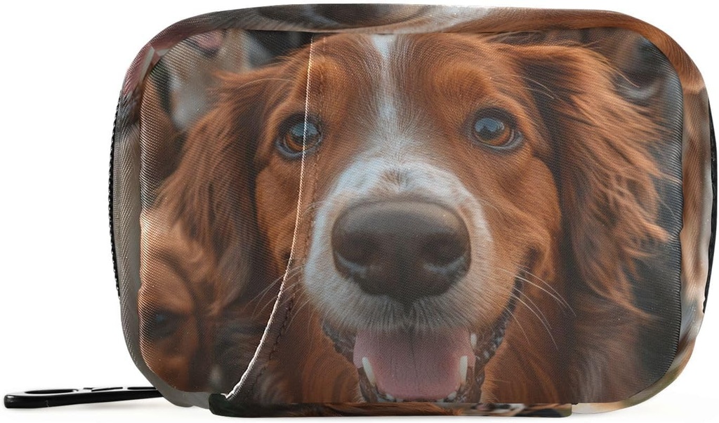 Haftalık Pill Organize Grup Köpekleri Altınr Küçük Pill Box Bag Portatif Seyahat Pill Vaka 7 Gün Vitamini Aile İş Kampı için Ambalajla Tamamlanmış