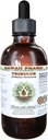 Tribulus Alkol-Free Liquid Extract, Tribulus (Tribulus Terrestris) Kuru Meyve Glycerite Natural Herbal Supplement, Hawaii Pharm, ABD 2 fl.oz