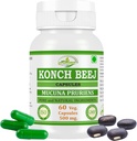 Kaunch MUCUNA PRURIENS Konch Beej, Kaunch Beej Ekstra Kapsüller | En yüksek Potency,% 100 Herbal Ürün | 60 x 500 mg Paket. Veg Capsules (Pack of 1 Jar)