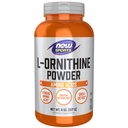Şimdi Gıda Spor Beslenme, L- Ornithine Toz, Protein Metabolism* ve Urea Detox*, Amino Asits, 8-Ounce
