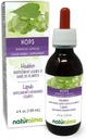 Naturalma Hops (Hum lulus) strobilus veya Cone (Female Çiçekler) Alkol Özgür Tincture - 4 fl oz Sıvı Ekstraksiyon - Herbal Supplement - Vegan