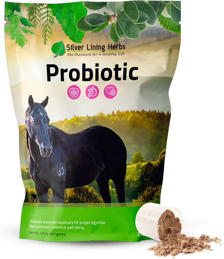 Silver Lining Herbs At Probiyotiks Digestive Supplements - Digestive Enzyme & Gut Health Probiyotik Supplement for Horses - Contains 13.2 Milyar CFUs Probiyotik Strains - 1.25 lb 60-Day Supply