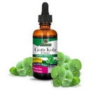 Doğa Cevap Gotu-Kola Herb 2 OZ