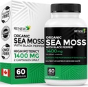Renew Actives Sea Moss Triple-Action Antioxidant Blend with BioPerine – Organic Irish Sea Moss 500MG, Bladderwrack 500MG & Burdock Root 400MG ανά 2 κάψουλες – Κατασκευασμένο στον Καναδά - 60 κάψουλες