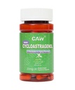 CAW Nano Cycloastragenol 25Mg | Telomerase Activation DNA Repair | Better Absorption Immunity Boost | 30 Enteric-Coated Vegetarian Capsules (1 Bottle)