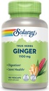 SOLARAY Ginger Root 1100 mg | Sağlıklı Digestion, Ortaklar ve Hareket & Stomach Discomfort Desteği | Tüm Kök | Non-GMO & Vegan | 180 VegCaps