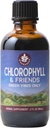 WishGarden Herbs Chlorophyll & Friends - Chlorophyll Liquid Drops with Nettle Leaf, Holy Basil, Moringa Leaf & Peppermint Leaf, Supports Artan Enerji, Sağlıklı Immune, & Stres Cevap, 2oz