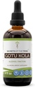 Tribe Gotu Kola Tincture Alkol Ölçeğinin Sırları, Gotu Kola (Centella Asiatica) Herb (4 FL OZ)