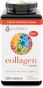 Youtheory Collagen Advanced Formula ile Biotin, 390 Kont (Pack of 1)