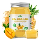 Sea Moss Gel - 18.5OZ Mango Pineapple Flavor Sea Moss Gel Esritious Rich in 102 Vitamin ve Mineraller, Proteinler ve Vitaminler, Vegan-Friendly
