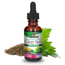 Doğanın Yanıtı Celery Tohumu Organik Alkol 2000 mg 1oz | Antioksislerle Paketlendi | Ortak Fonksiyonlar | Urinary Tract Support | Single Count