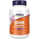 Şimdi Gıdalar Tamamlıyor, MSM (Methylsulfonylmethane) Toz, Sağlıklı Kartilage*, Ortak Sağlık*, 8-Ouncece