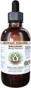 Brahmi Alcohol-Free Liquid Extract, Organic Brahmi Liquid (Bacopa Monnieri) Whole Dried Herb Glycerite Hawaii Pharm Natural Herbal Supplement 2 oz