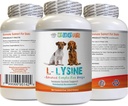 Immune System Dog Food - Dog LYSINE Toz - Pure Toz Form - Immune System Support - Vet Önerilen - lysine Double Strength - 1 Şişe (8oz 226.8 Grams)