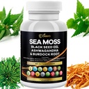 Sea Moss 3000 mg Black Seed Oil 2000 mg Ashwagandha 1000 mg Bladderwrack 1000 mg Turmeric 1000 mg Burdock 1000 mg C & D3 Elder Manuka Dandelion Sarı Dockophyll ACV