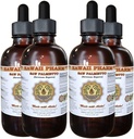 Saw Palmetto Liquid Extract, Organik Saw Palmetto (Serenoa Repens) Tincture, Herbal Supplement, Hawaii Pharm, ABD'de 4x4 fl.oz