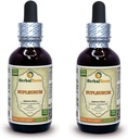Bupleurum (Bupleurum Chinense) Βάμμα, Βιολογικό Αποξηραμένο Υγρό Ρίζας Εκχύλισμα (Όνομα: HerbalTerra, Περήφανα Κατασκευασμένο στις ΗΠΑ) 2x2 fl.oz (2x60 ml)